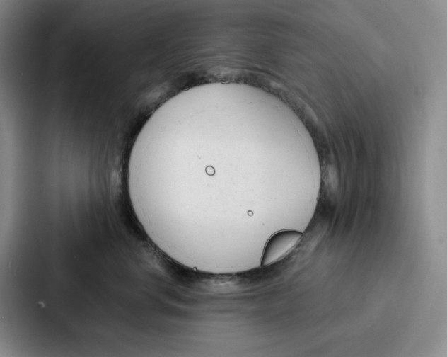 X0000086900668200705141644