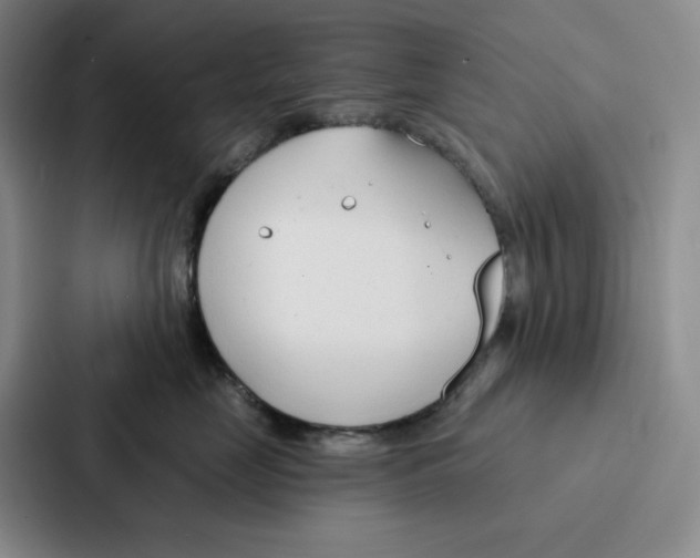 X0000086900669200705141644