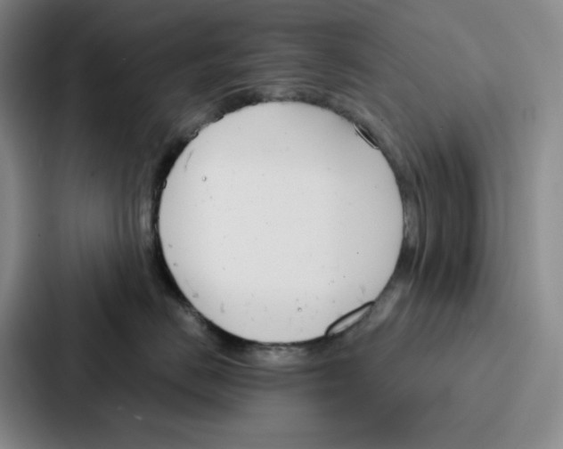 X0000086900670200705141644