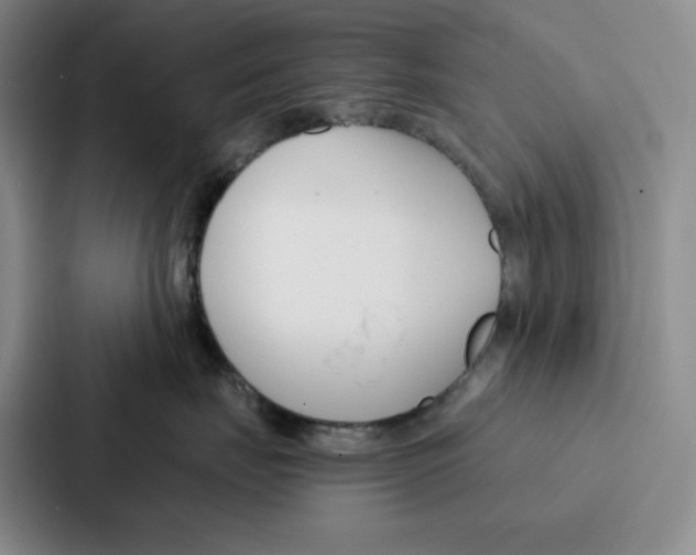 X0000086900671200705141644