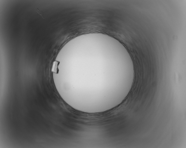 X0000086900672200705141644