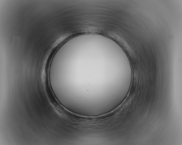 X0000086900674200705141643