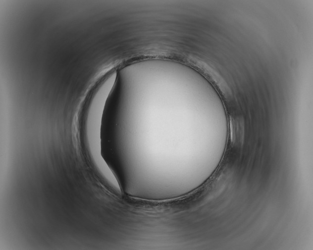 X0000086900675200705141643