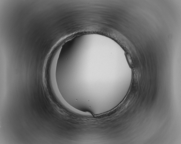 X0000086900676200705141643