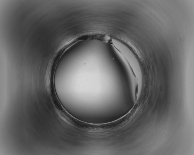 X0000086900677200705141643