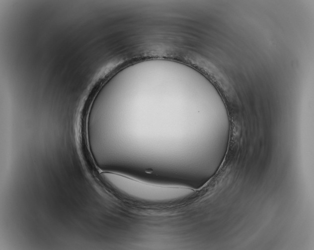 X0000086900678200705141643