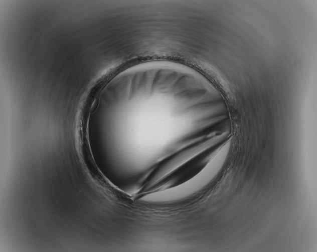 X0000086900680200705141643