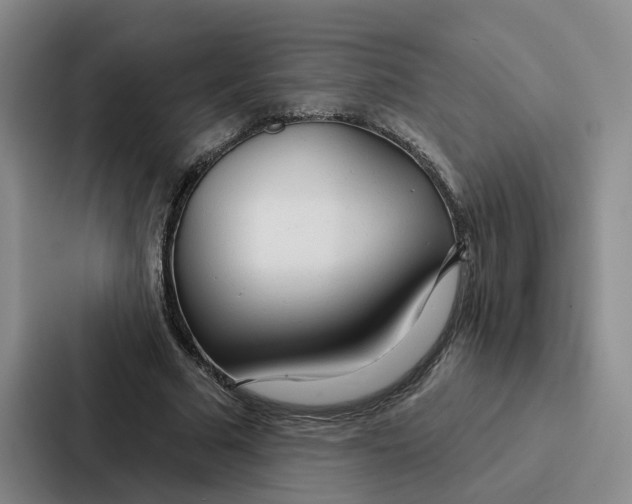 X0000086900681200705141643