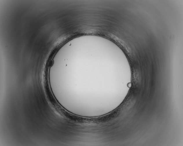 X0000086900682200705141643