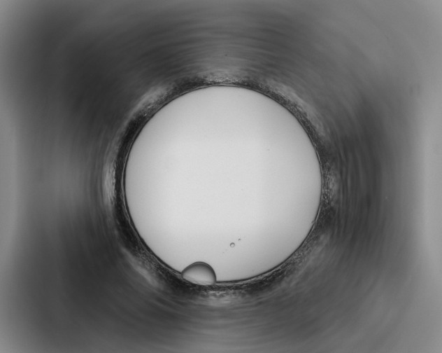 X0000086900686200705141643