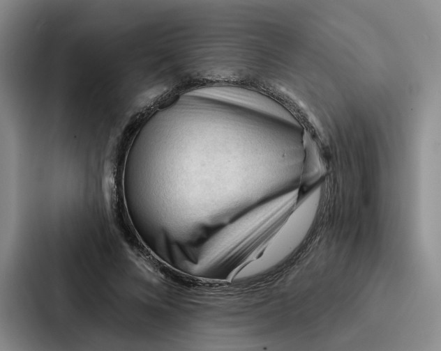 X0000086900688200705141643