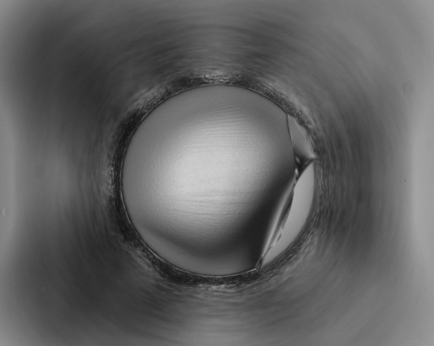 X0000086900689200705141643