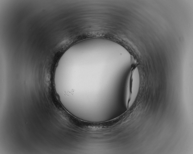 X0000086900693200705141643