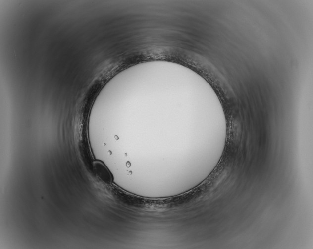 X0000086900694200705141643