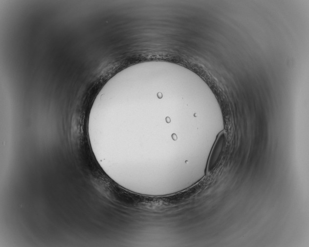 X0000086900695200705141643