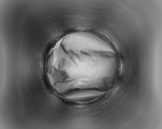 X0000086900696200705141643