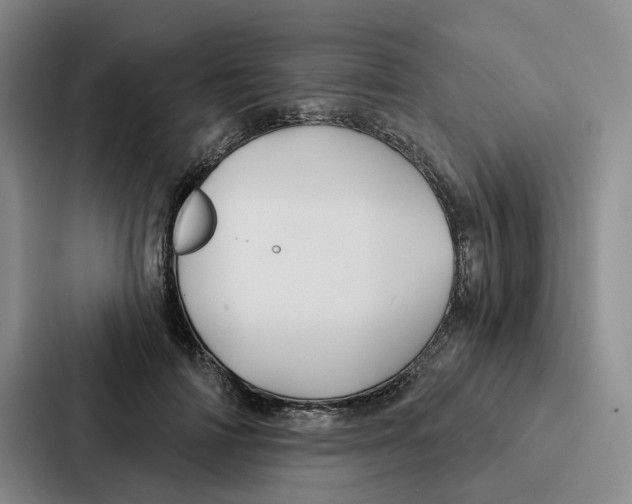 X0000086900698200705141643