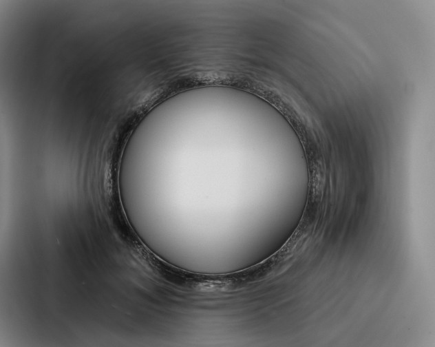 X0000086900700200705141643