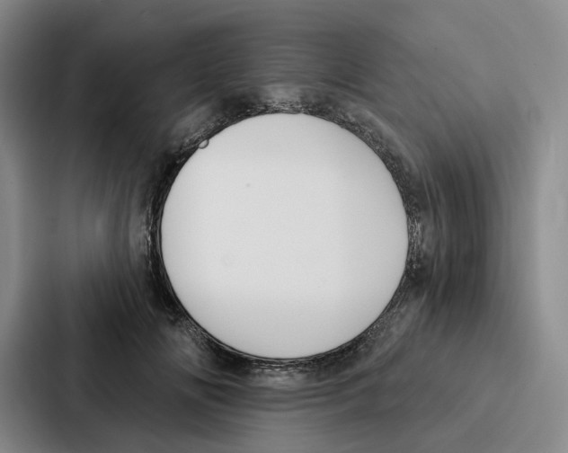 X0000086900702200705141643