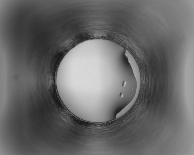 X0000086900704200705141643