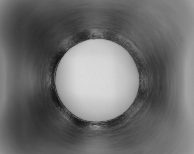 X0000086900706200705141643