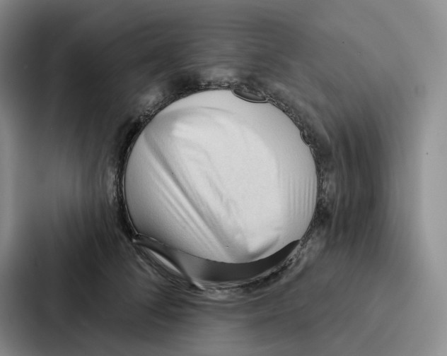 X0000086900708200705141642