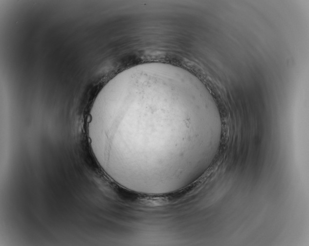 X0000086900711200705141642