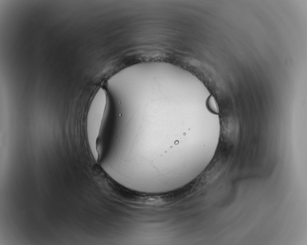 X0000086900715200705141642