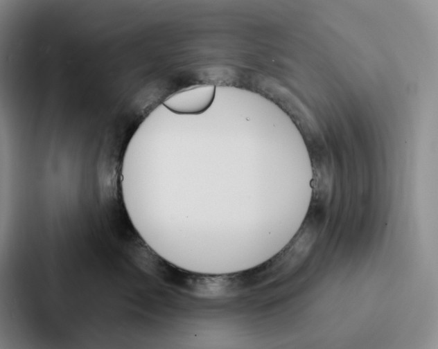 X0000086900717200705141642