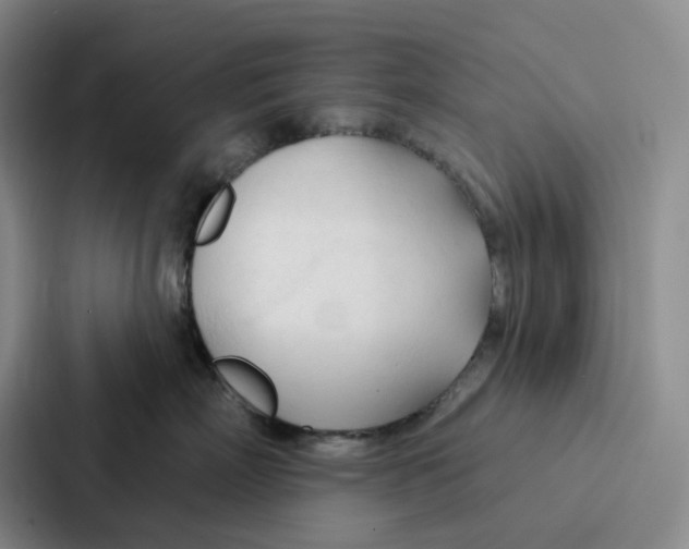 X0000086900718200705141642