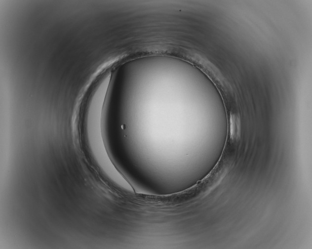 X0000086900723200705141642