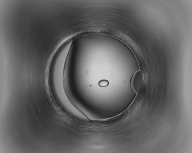 X0000086900724200705141642