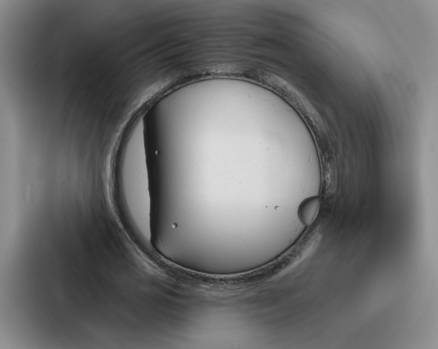 X0000086900725200705141642