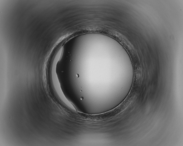 X0000086900727200705141642