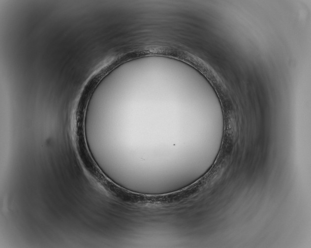 X0000086900730200705141642