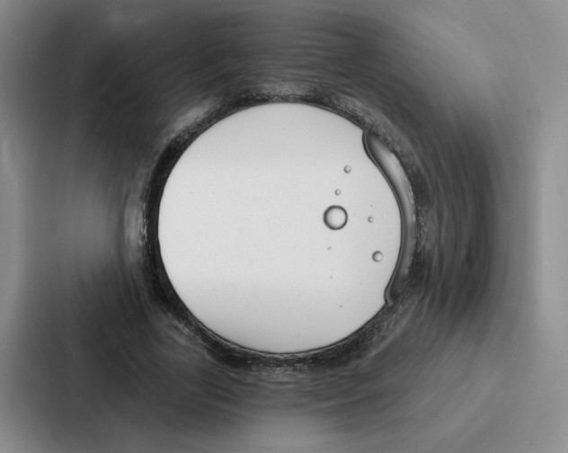 X0000086900731200705141642