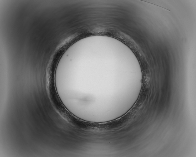 X0000086900732200705141642