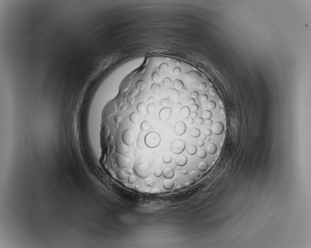 X0000086900734200705141642