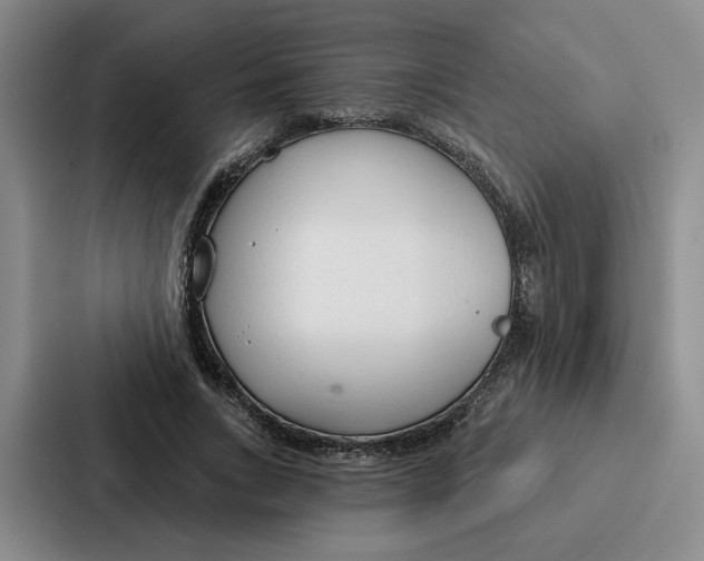 X0000086900735200705141642