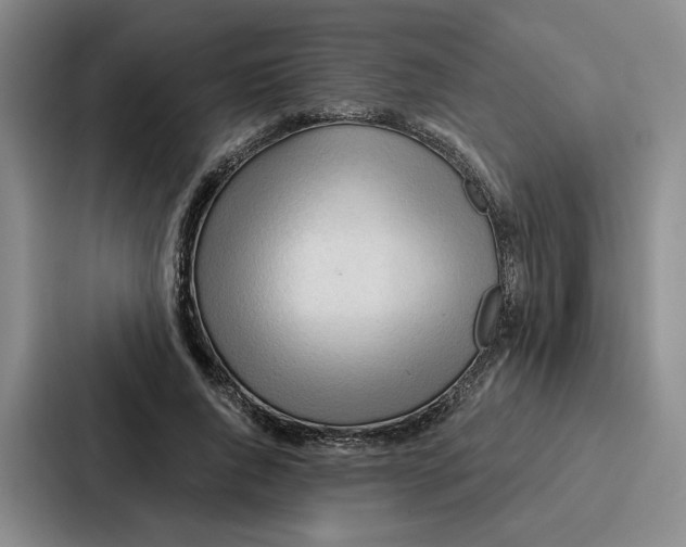 X0000086900736200705141642