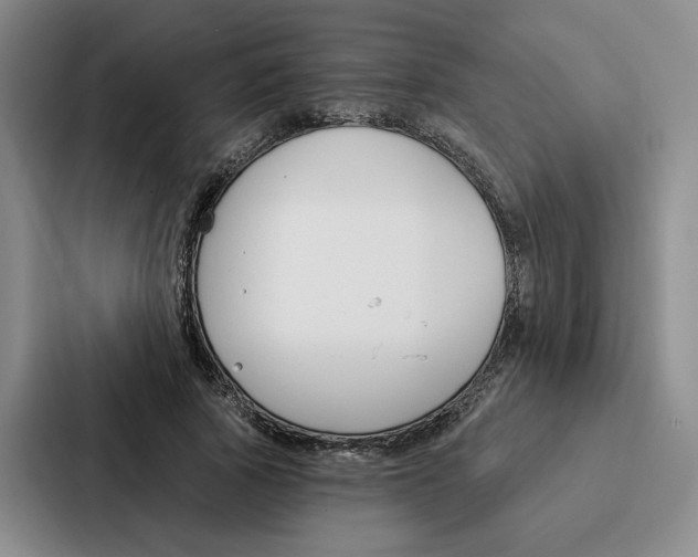 X0000086900737200705141642