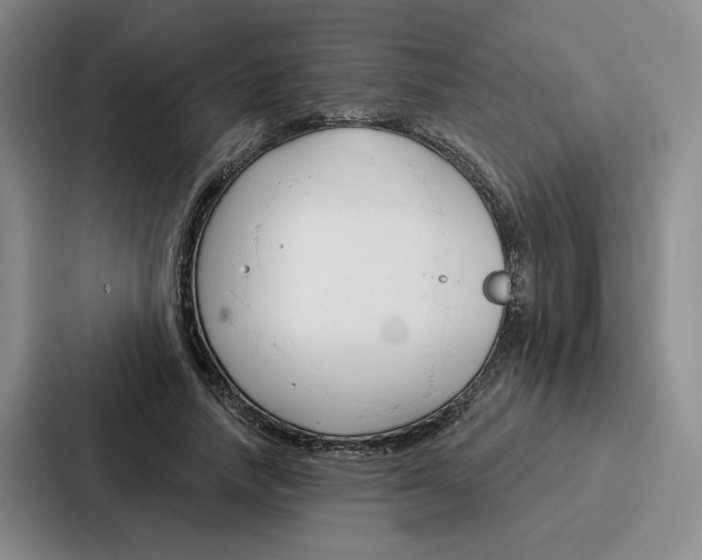 X0000086900738200705141642