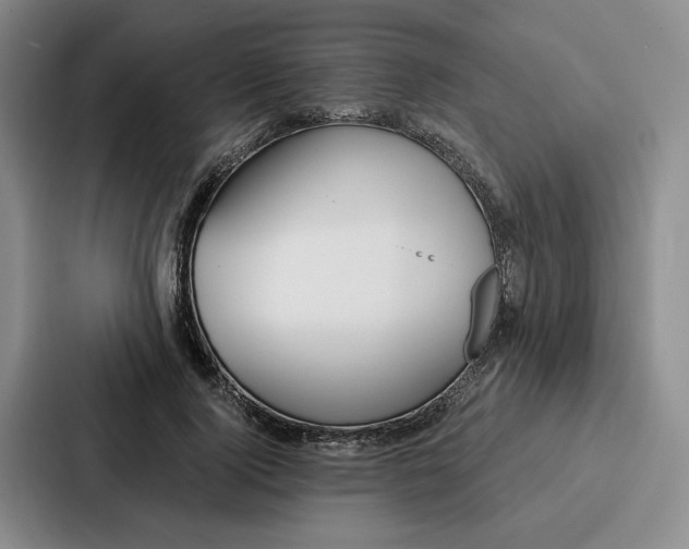 X0000086900740200705141642