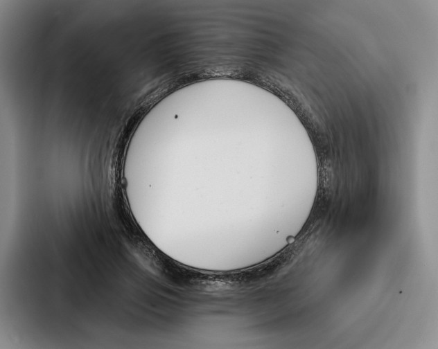 X0000086900741200705141642