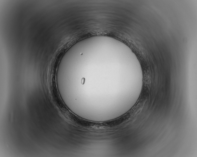 X0000086900742200705141642