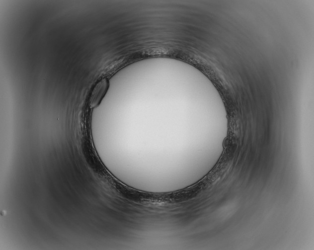 X0000086900743200705141642