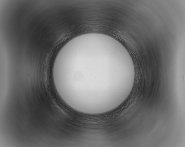 X0000086900744200705141642