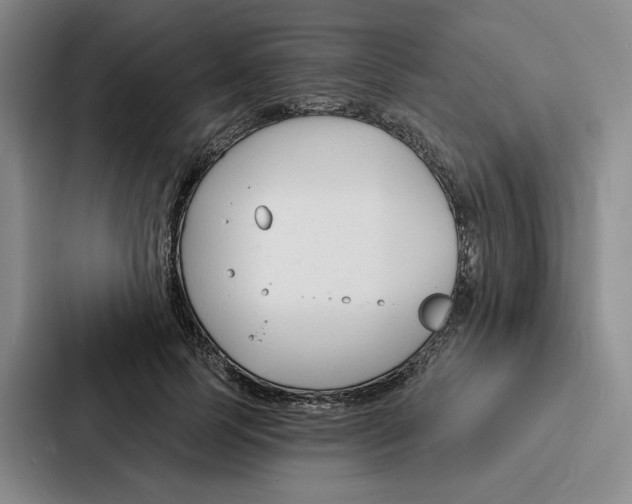 X0000086900745200705141642