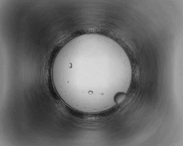 X0000086900746200705141642