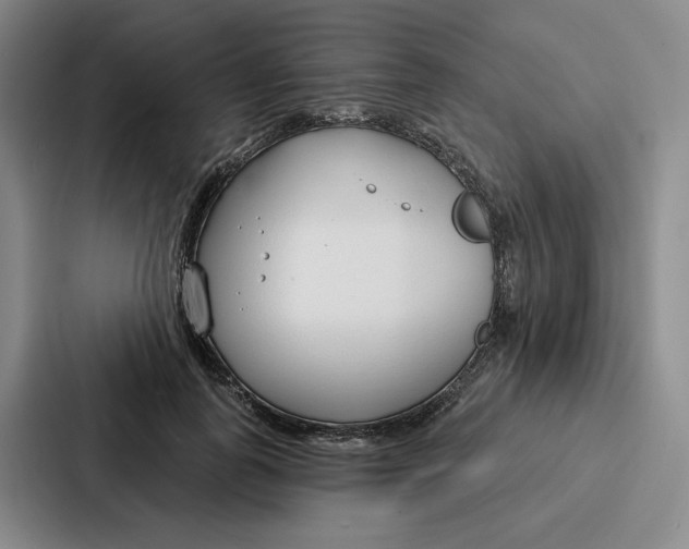 X0000086900747200705141642